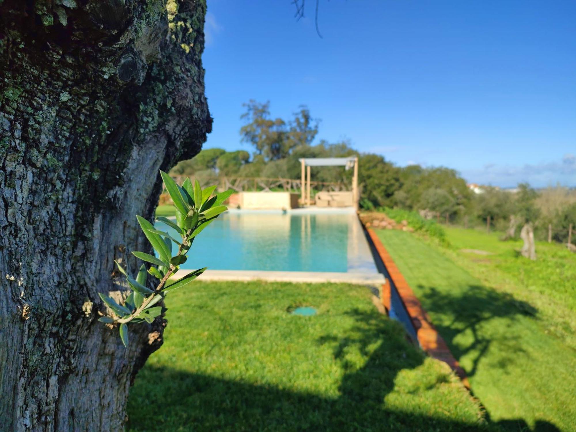 Villa Quinta De Matrena à Macieiros Extérieur photo